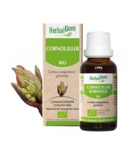 Cornouiller (Cornus sanguinea gemmae) bourgeon BIO, 15 ml